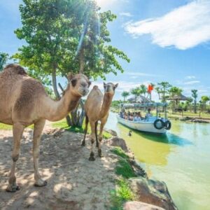 Tour Vinwonder Nam Hội An