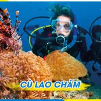 TOUR LẶN BÌNH KHÍ CÙ LAO CHÀM