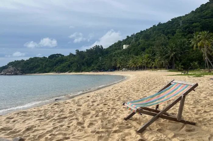 Bãi Bìm Cù Lao Chàm