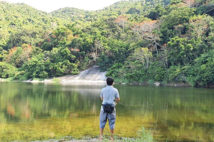 Bãi Bìm Cù Lao Chàm