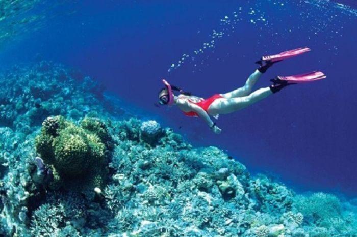 Bãi Bìm Cù Lao Chàm