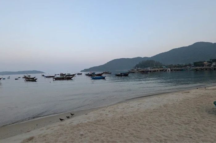 Bãi Bìm Cù Lao Chàm