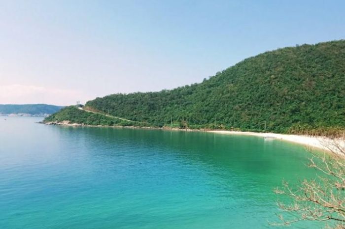 Bãi Bìm Cù Lao Chàm