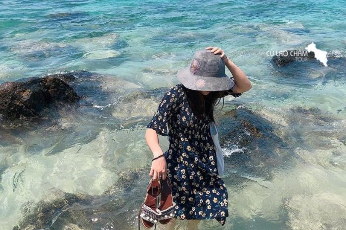 Bãi Bìm Cù Lao Chàm có gì