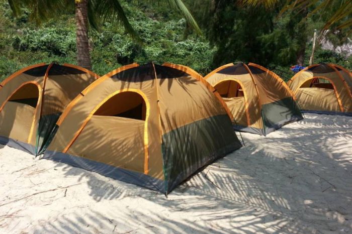 Bãi Bìm Cù Lao Chàm có gì