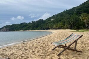 Bãi Bìm Cù Lao Chàm