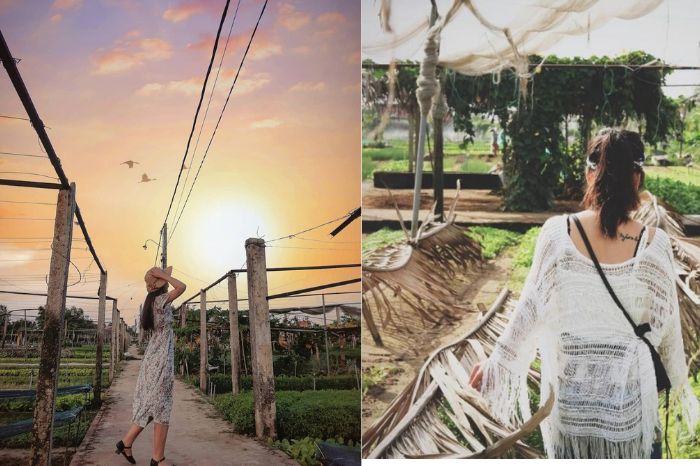 Làng rau Trà Quế