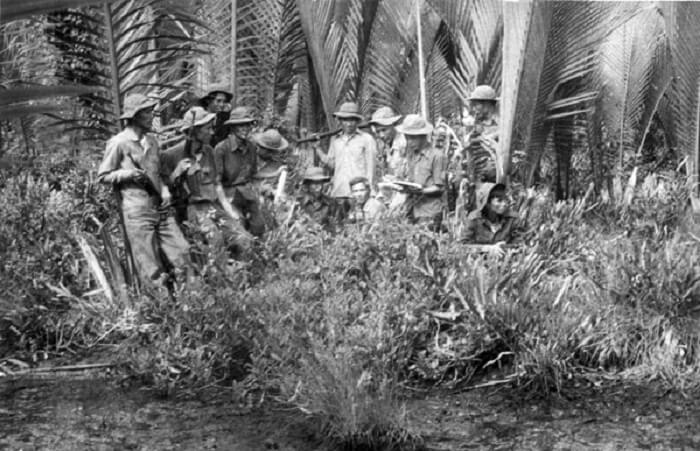 Rừng dừa Bảy Mẫu