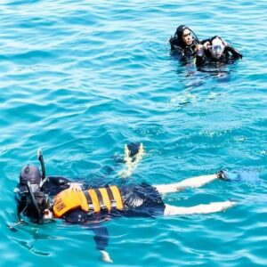 Tour 3 đảo Nha Trang