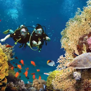 tour 3 đảo Phú Quốc