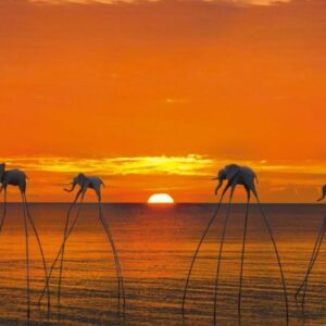 Tour Nam đảo Phú Quốc