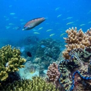 Tour Nam đảo Phú Quốc