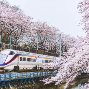 Tour Nhật Bản từ Đà Nẵng