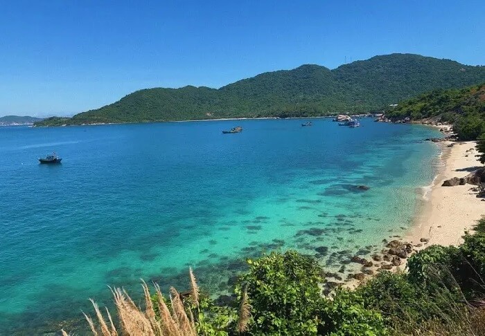 Lặn ngắm san hô Cù Lao Chàm