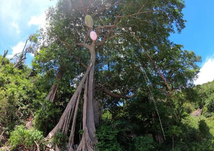 Địa điểm du lịch Cù Lao Chàm