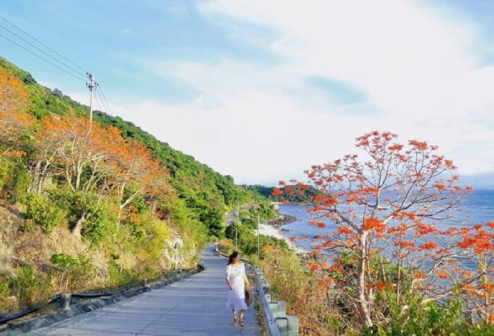 Địa điểm du lịch Cù Lao Chàm