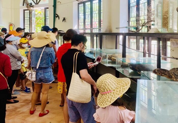 Địa điểm du lịch Cù Lao Chàm