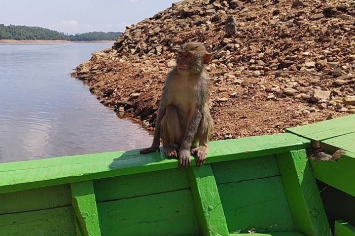 Hồ Phú Ninh có gì
