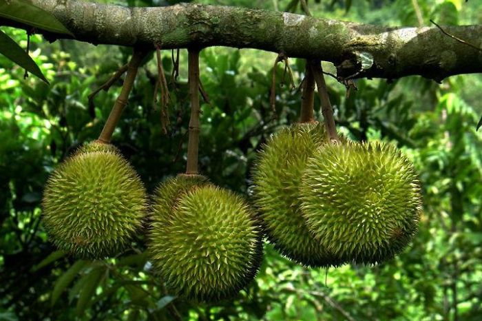 Hòn Kẽm Quảng Nam có gì