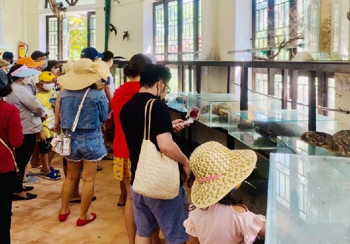 Khu Bảo tồn biển Cù Lao Chàm