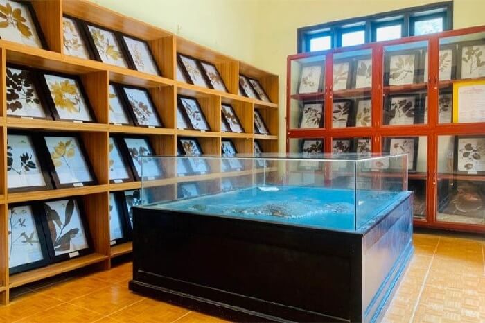 Khu Bảo tồn biển Cù Lao Chàm