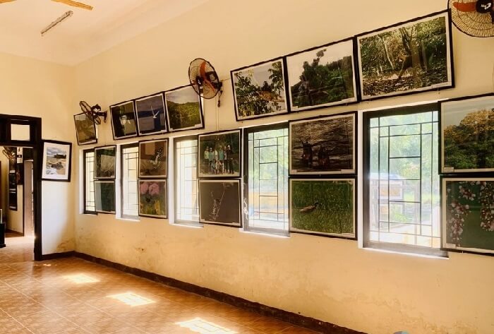 Khu Bảo tồn biển Cù Lao Chàm