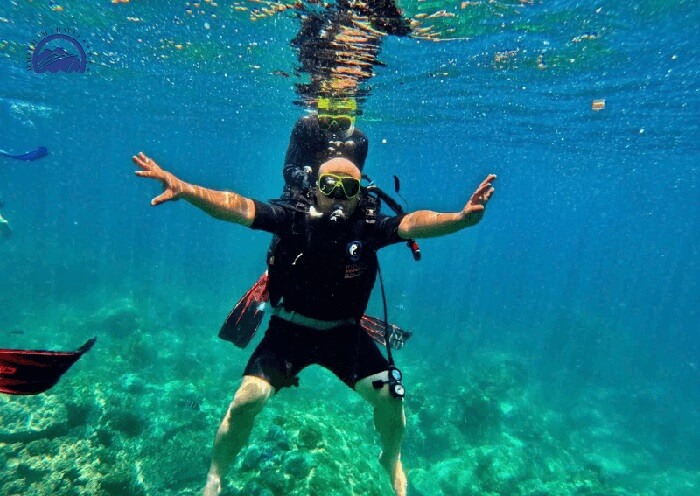 Lặn ngắm san hô Cù Lao Chàm