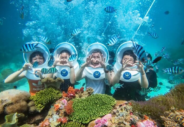 Lặn ngắm san hô Cù Lao Chàm