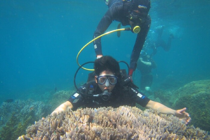 Lặn ngắm san hô Cù Lao Chàm