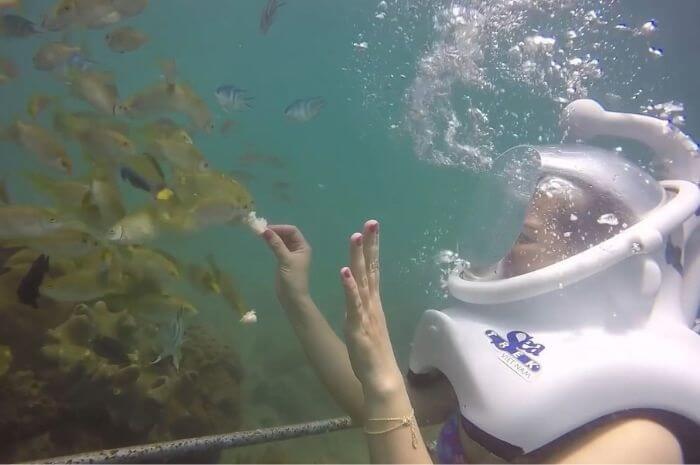 Đi bộ dưới biển Cù Lao Chàm