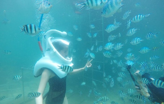 Đi bộ dưới biển Cù Lao Chàm