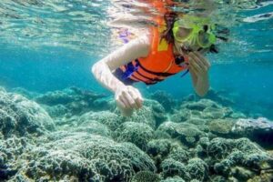 Không biết bơi lặn san hô Cù Lao Chàm có an toàn không