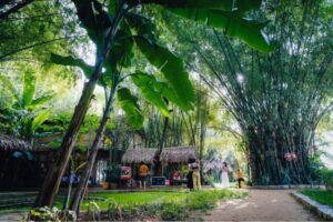 Khu du lịch sinh thái Triêm Tây Hội An