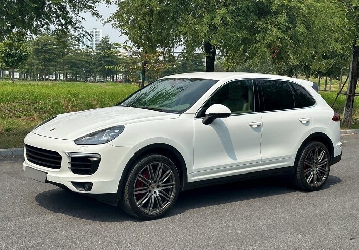 Di chuyển tới vị trí rừng dừa Bảy Mẫu